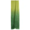 E.Marinella Sciarpe Invernali|PASHMINA VERDE EFFETTO SFUMATO In cashmere